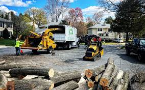 Best Aeration Services  in Wakeeney, KS