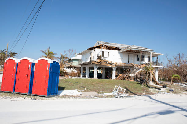 How Our Tree Care Process Works  in  Wakeeney, KS